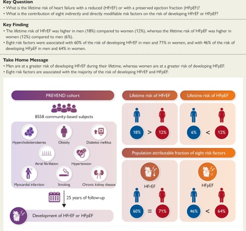 A 25-year Dutch study shows men &amp; women experience heart failure differently.

🫀Women are more likely to develop HFpEF.
🫀8 modifiable risk factors were more strongly linked to HF in women.

Sex-specific prevention is essential.

🔗 academic.oup.com/eurheartj/adva… 

#CardioTwitter #WIC