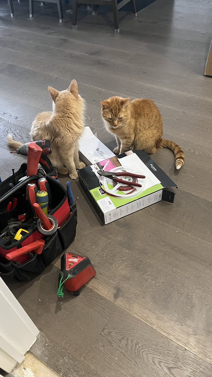 hovndcs's tweet photo. the inspectors are not impressed https://t.co/TbvD3ZgwBo