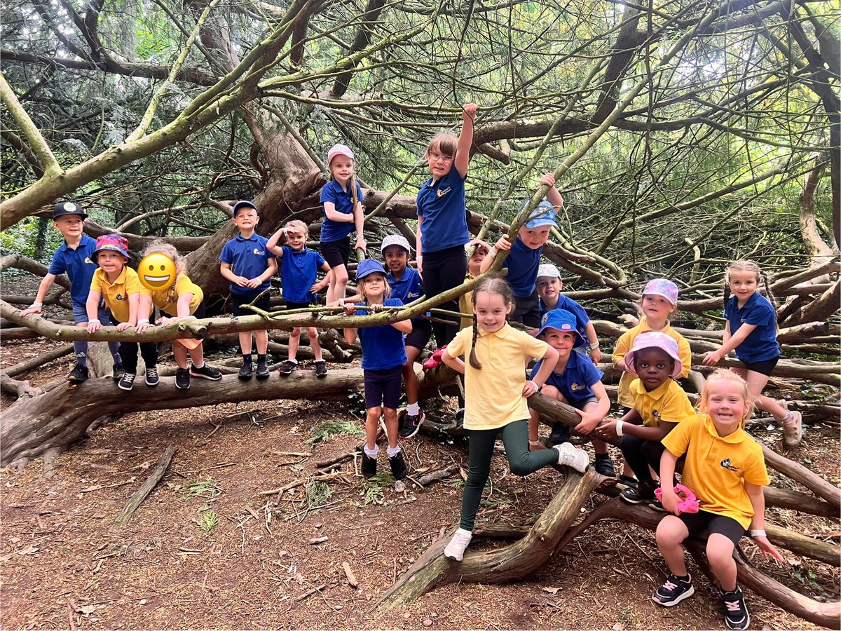 Foundation stage have had the best time today! From pond dipping to tree climbing, they have done it all!🌳