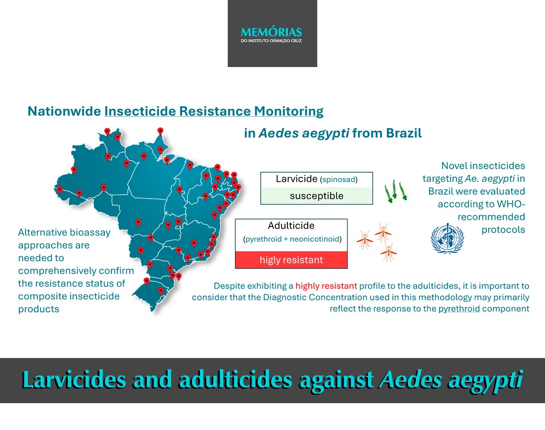 A new study, published in <a href="/MemoriasJournal/">Memorias Journal</a> assessed the susceptibility of Aedes aegypti, the primary vector of dengue, Zika, and chikungunya viruses, to various larvicides and adulticides deployed during Brazil's national campaigns from 2020 to 2023.