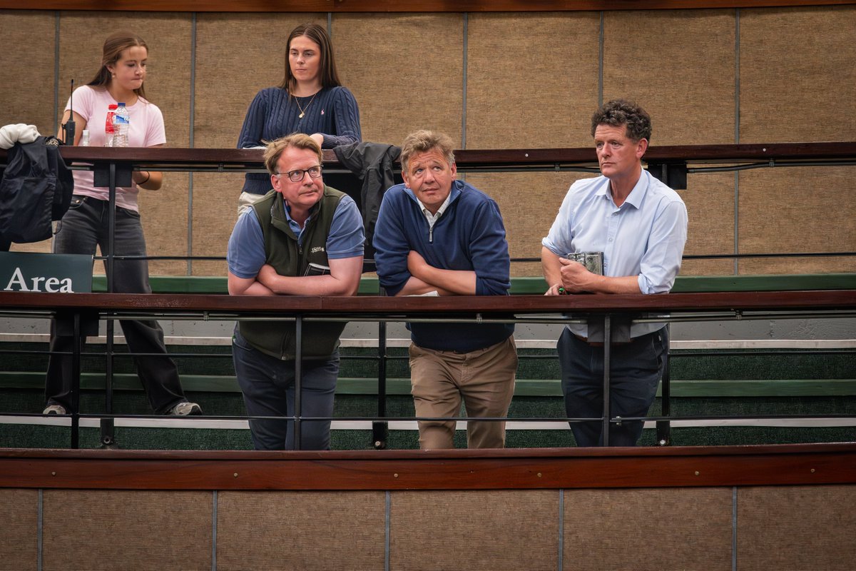 Goffs (@goffs1866) on Twitter photo Coolmeen Farms (<a href="/EllmarieHolden/">Ellmarie Holden</a>) purchase Lot 326, Menelas Colombe, for €150,000.
Clifton Farm's (<a href="/BleahenBrothers/">Bleahen Brothers</a>) son of Cokoriko is a half-brother to multiple Gr 1 winner Gerri Colombe.
#GoffsArkle Coolmeen Farms (<a href="/EllmarieHolden/">Ellmarie Holden</a>) purchase Lot 326, Menelas Colombe, for €150,000.
Clifton Farm's (<a href="/BleahenBrothers/">Bleahen Brothers</a>) son of Cokoriko is a half-brother to multiple Gr 1 winner Gerri Colombe.
#GoffsArkle