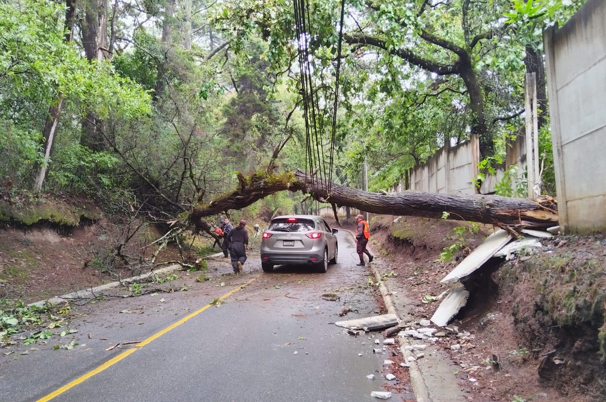 Transito_mixco's tweet photo. Árbol caido en el Encinal Zona 7, se coordina para retirarlo del lugar.  #TránsitoMixco https://t.co/Hh2o3TiNQd