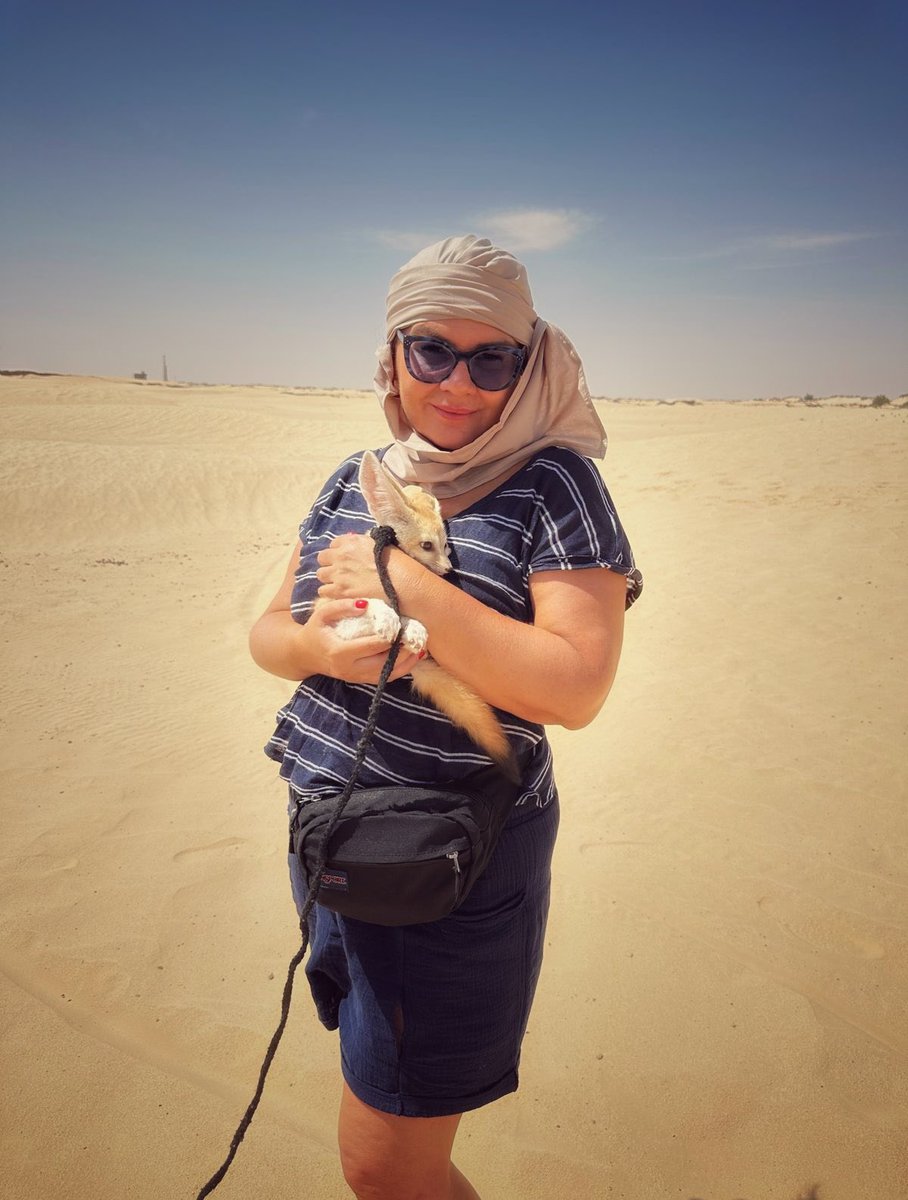 Disagio4all's tweet image. No va beh ma la bellezza della volpe del deserto?!?!? #fennec