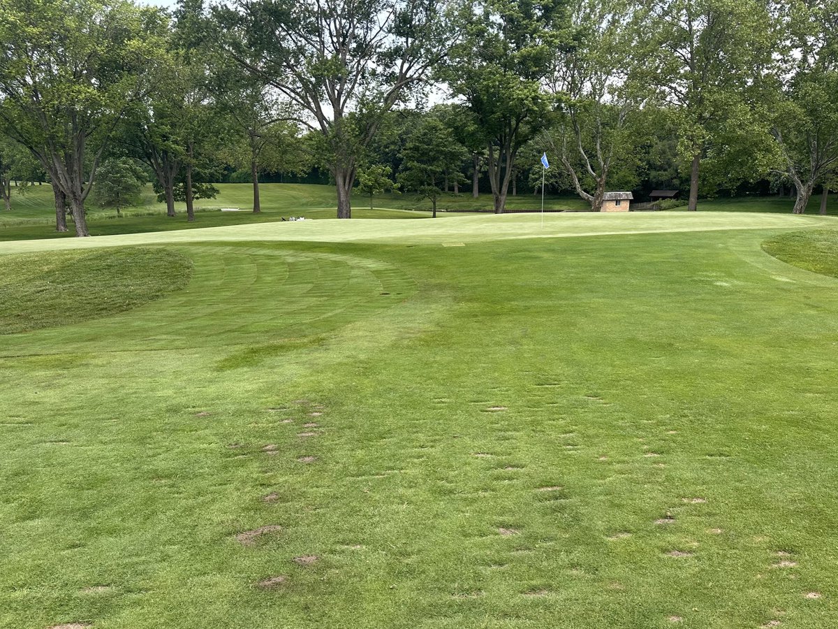 Another green side bentgrass expansion!
The guys are going to hide my paint gun so I can’t mark more expansions 😂
