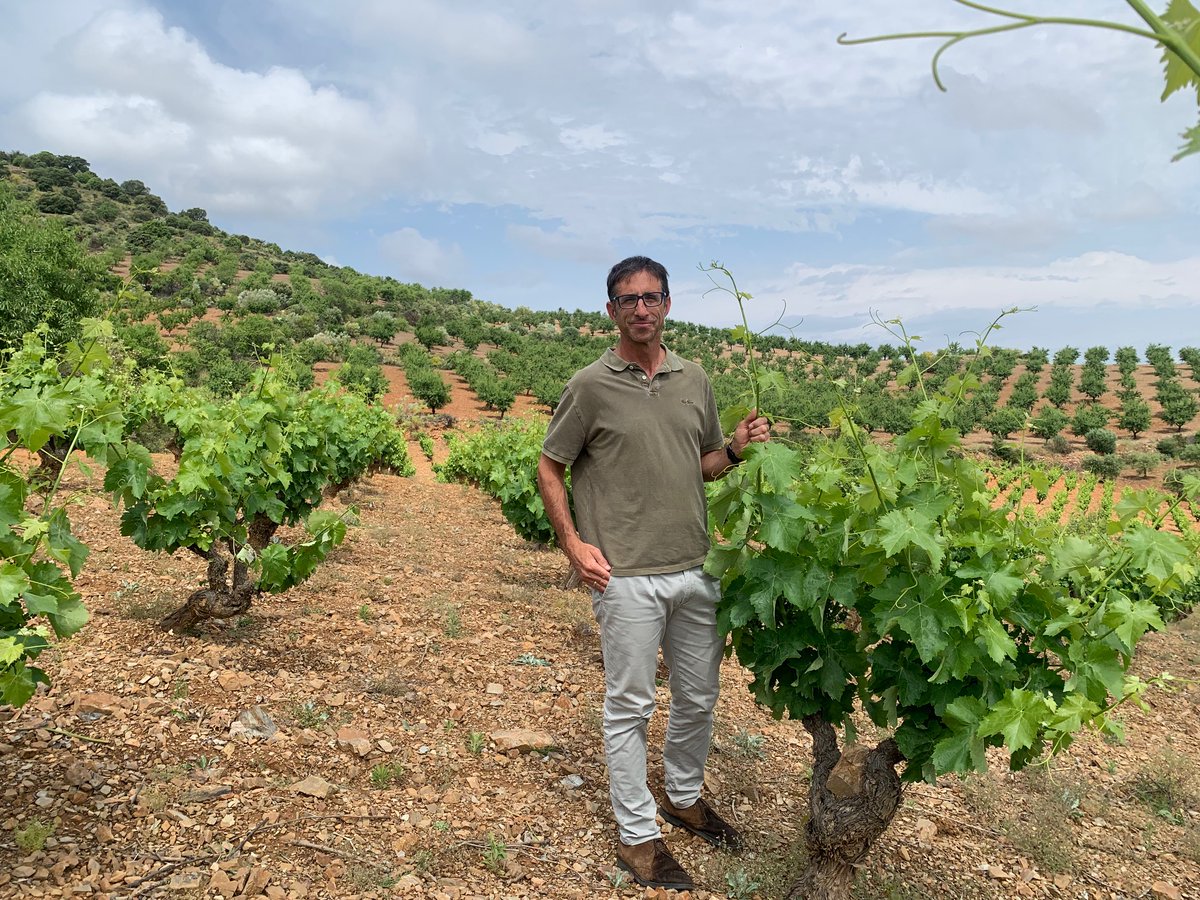 NUEVO ARTÍCULO: Mancuso, vinos de altura al abrigo de la Sierra de Algairén en Aragón.

Hemos hablado con Jorge Navascués, recorrido viñas y probado los vinos. Aquí lo contamos 👇

spanishwinelover.com/mancuso-vinos-…