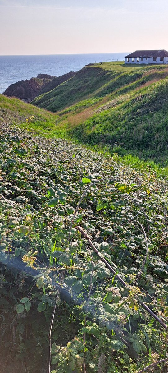 John Barber tweet media