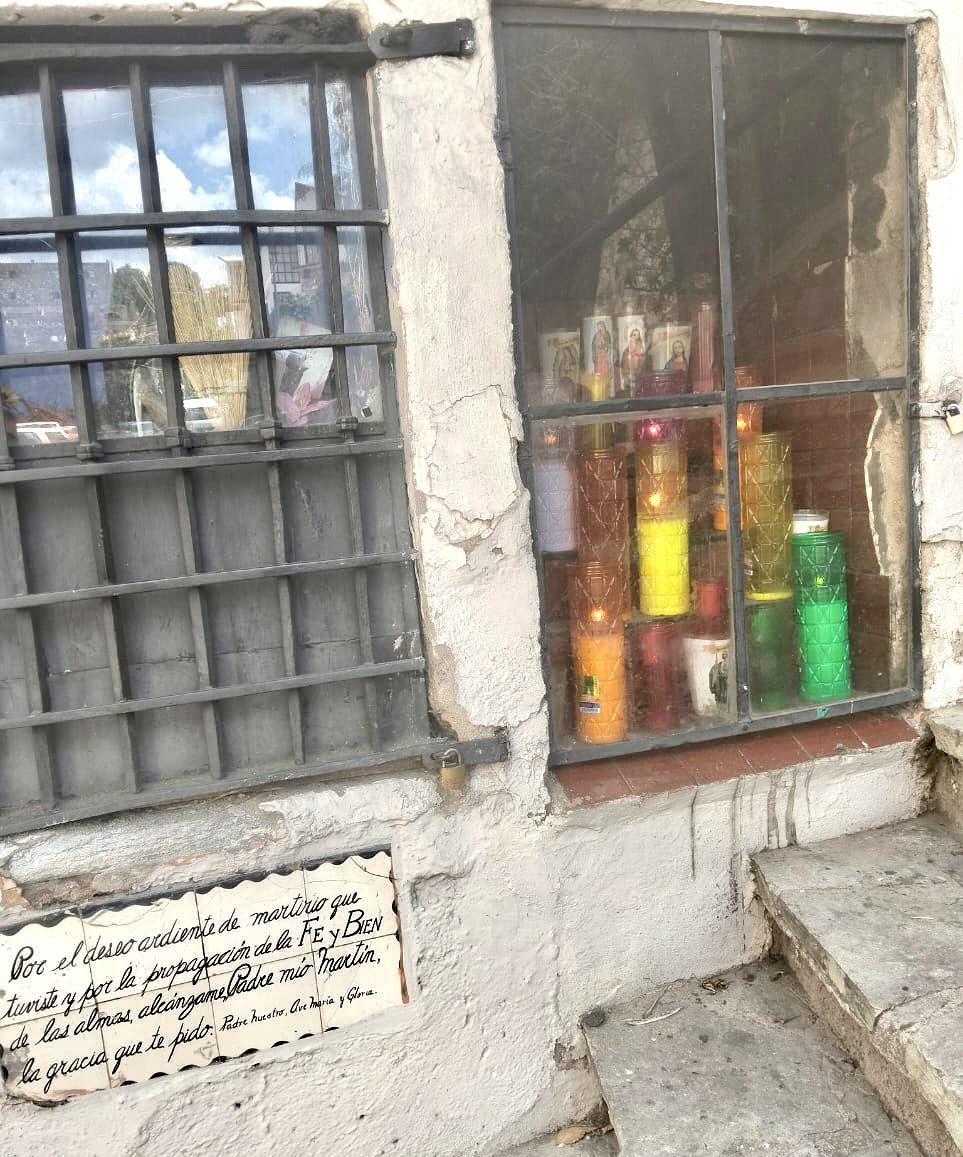 At the <a href="/ommtw/">OMM</a>  Girl’s Mexican Mathematical Olympiad in Guanajuato, México. I made a new 🐾 friend yesterday but, I could not find her today. 🥺