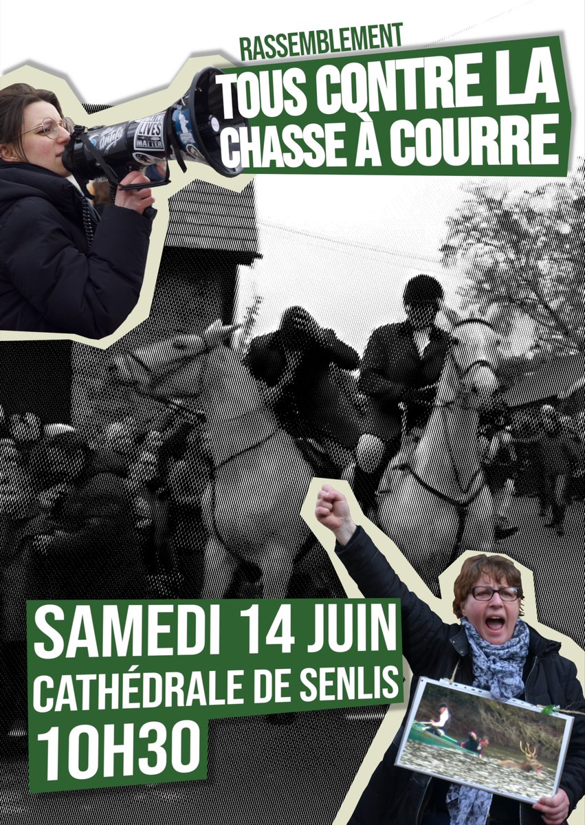 RAPPEL : Le rassemblement anti chasse à courre c'est samedi à 10h30 (à Senlis, dans l'Oise) ! ✊🦌
Le moment est venu de faire entendre sa voix contre la barbarie et le chaos ! 

🗓️Voici l'évenement Facebook avec des infos pratiques (covoiturages, accès, vidéos...) :