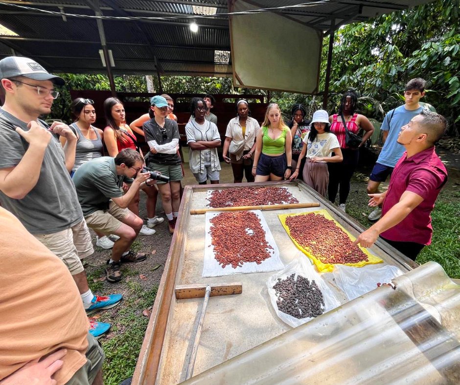 KSU students are taking their studies to new heights and new countries this summer through study abroad! From England to France to Belize and beyond, we have students learning all over the world!