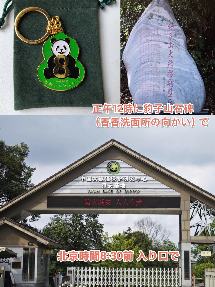 シャンシャン8歳記念章をお預かりの方へ‌
① 明日8:30まで正門
② 12:00 シャンシャン近くの豹子山石碑（トイレ向かい）
⚠️ 時間変更希望はDMかメールで
☀️ 暑さ厳しいので水分・休憩を忘れずに！