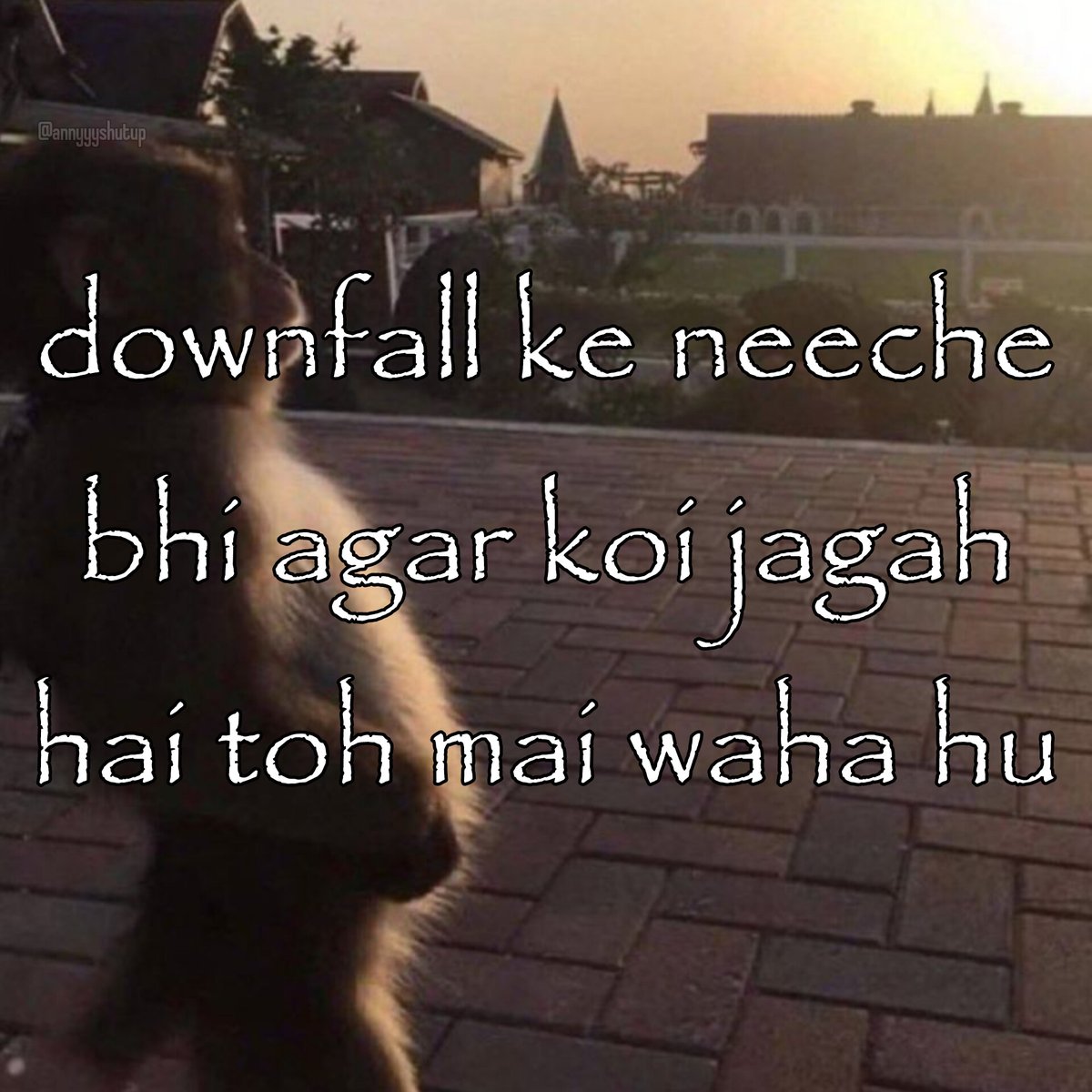 Anny🦕 tweet media