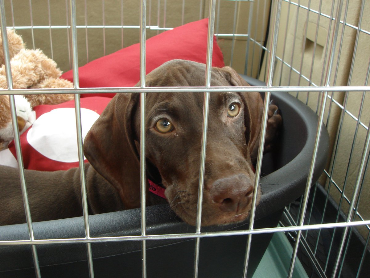 Ash Alexander-Cooper OBE tweet media