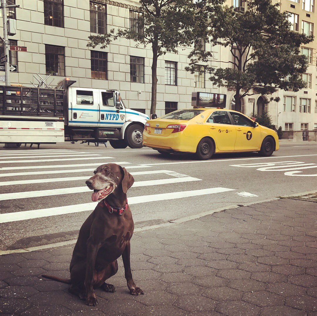 Ash Alexander-Cooper OBE tweet media