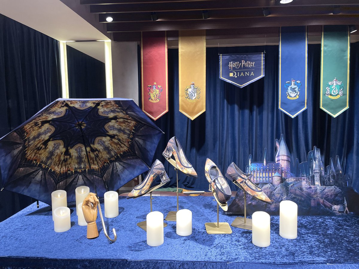 ダイアナ展示会見てきた🦉 私の中で今回大優勝なのが大広間の長傘