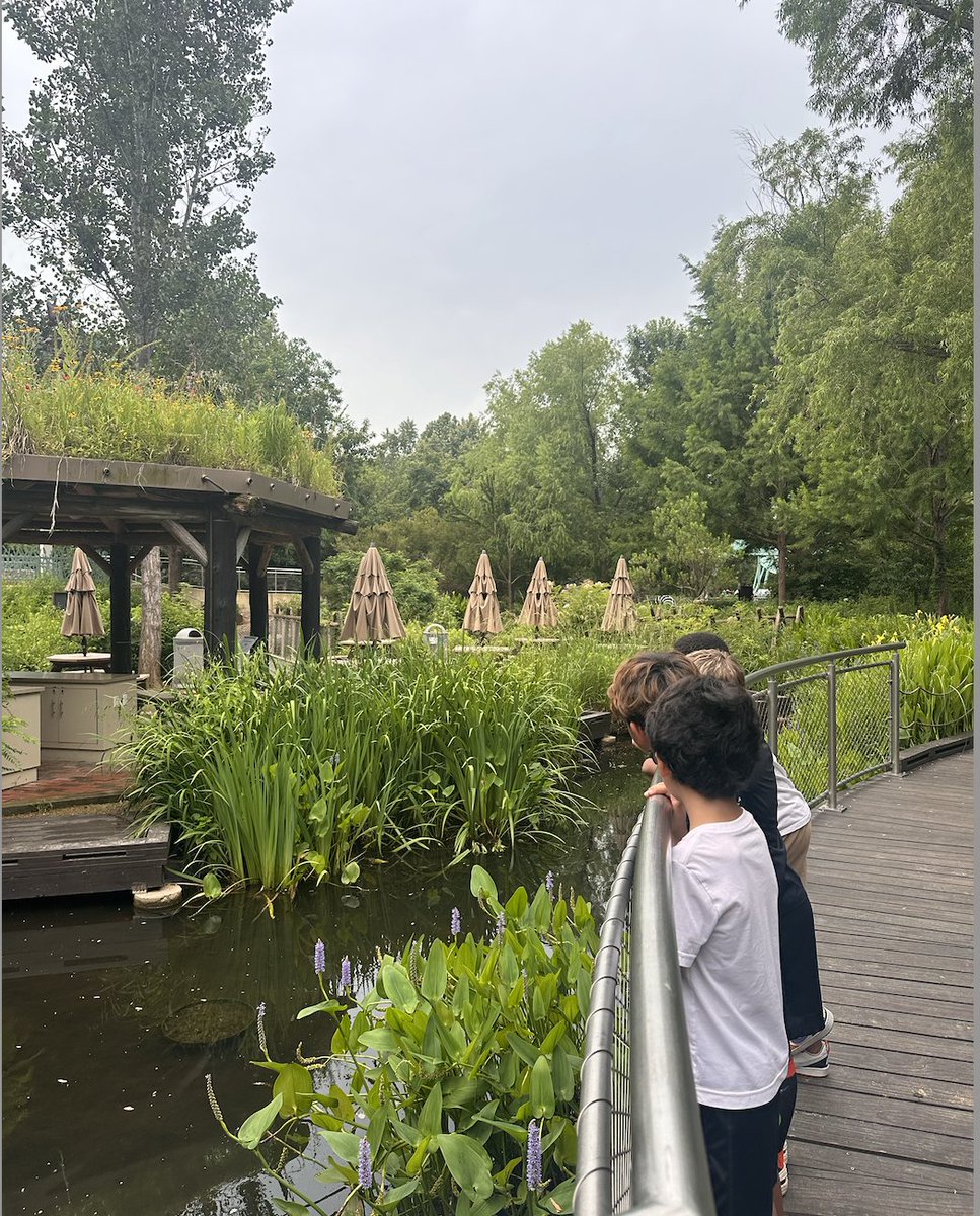 The experiences these kiddos made at the Dallas Arboretum make my teacher heart so happy❤️ <a href="/MorgenCrowder/">Morgen Crowder</a> #RISDBeTheOne