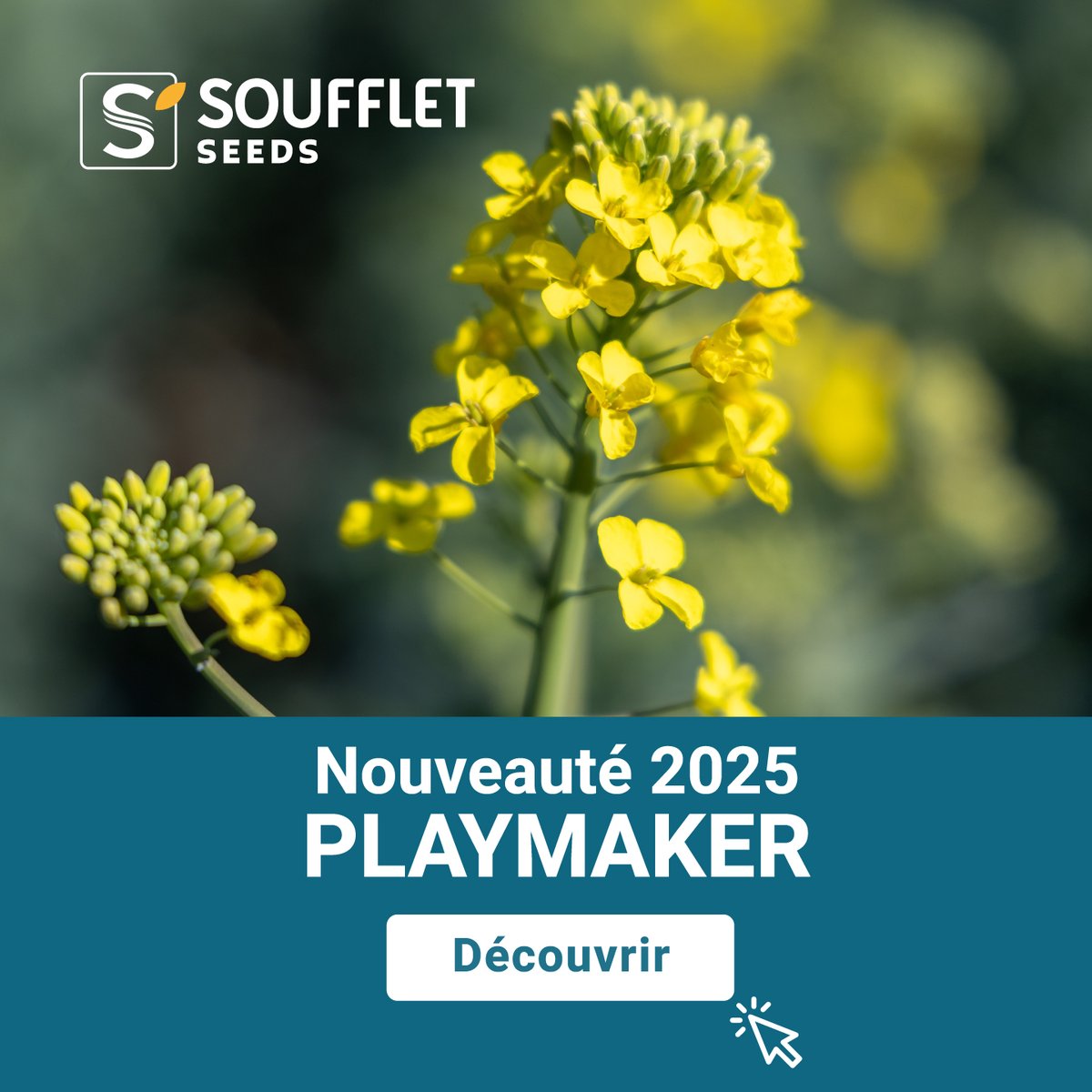 Soufflet Agriculture tweet media