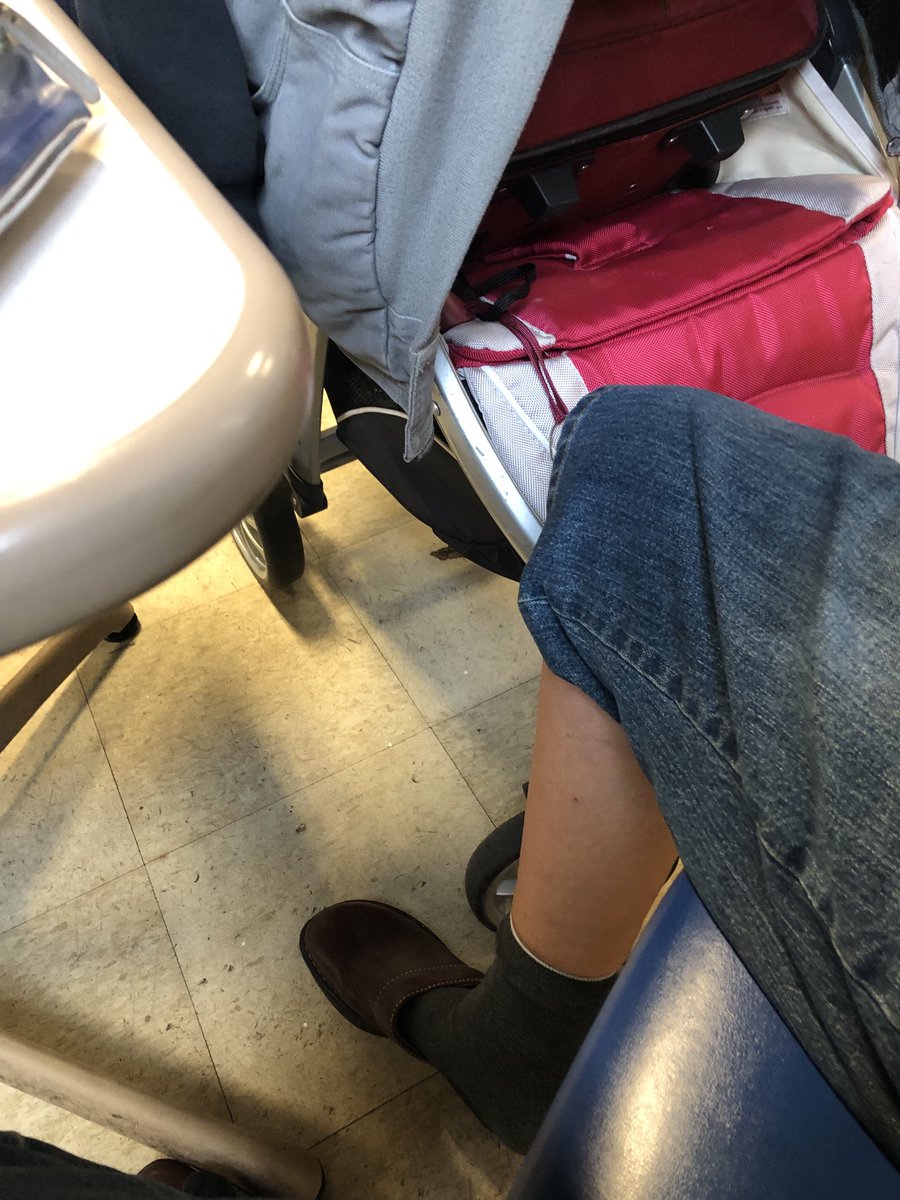 not a jeep brand stroller and not for an explosion of a girl dog!