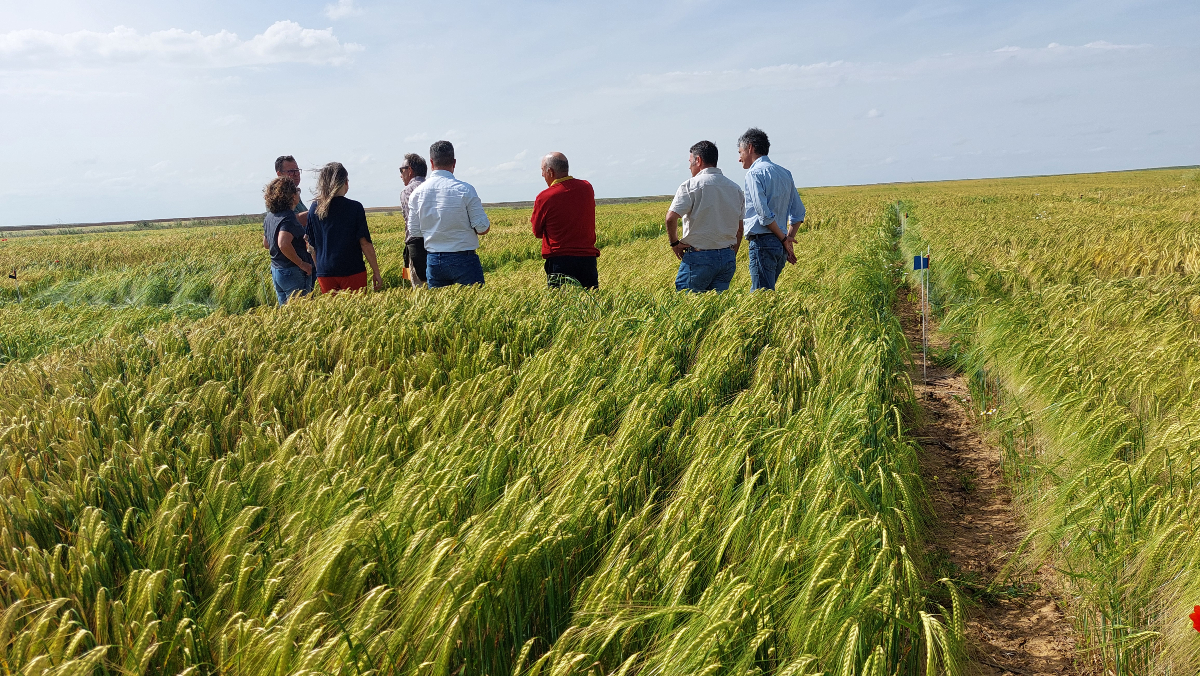 ITACYL's tweet photo. Gran éxito en la Jornada @QuantiFarm-Sativum, visitamos los ensayos de fertilización y zonificación realizados con #Sativum por nuestros colaboradores y compartimos experiencias con agricultores de Portugal y Rumania
Gracias a todos
#HorizonEurope #DigitalFarming #ITACyL #RIS3CyL https://t.co/A8z3KZf1T3