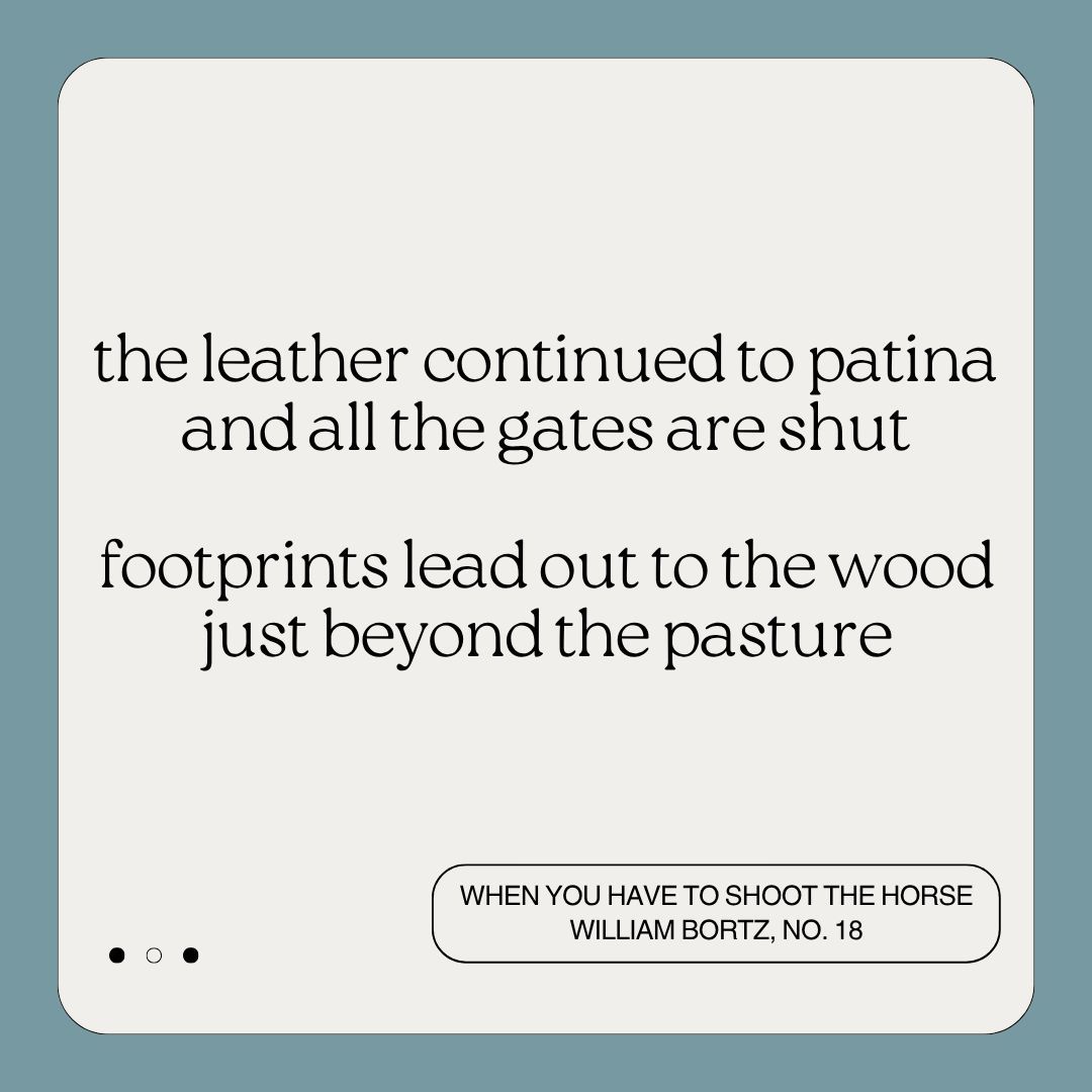 MudRoomMag's tweet image. A preview of &quot;When You Have to Shoot the Horse&quot; by @william_bortz

Read the full poem (and other pieces from Issue 18) here.

mudroommag.com/william-bortz