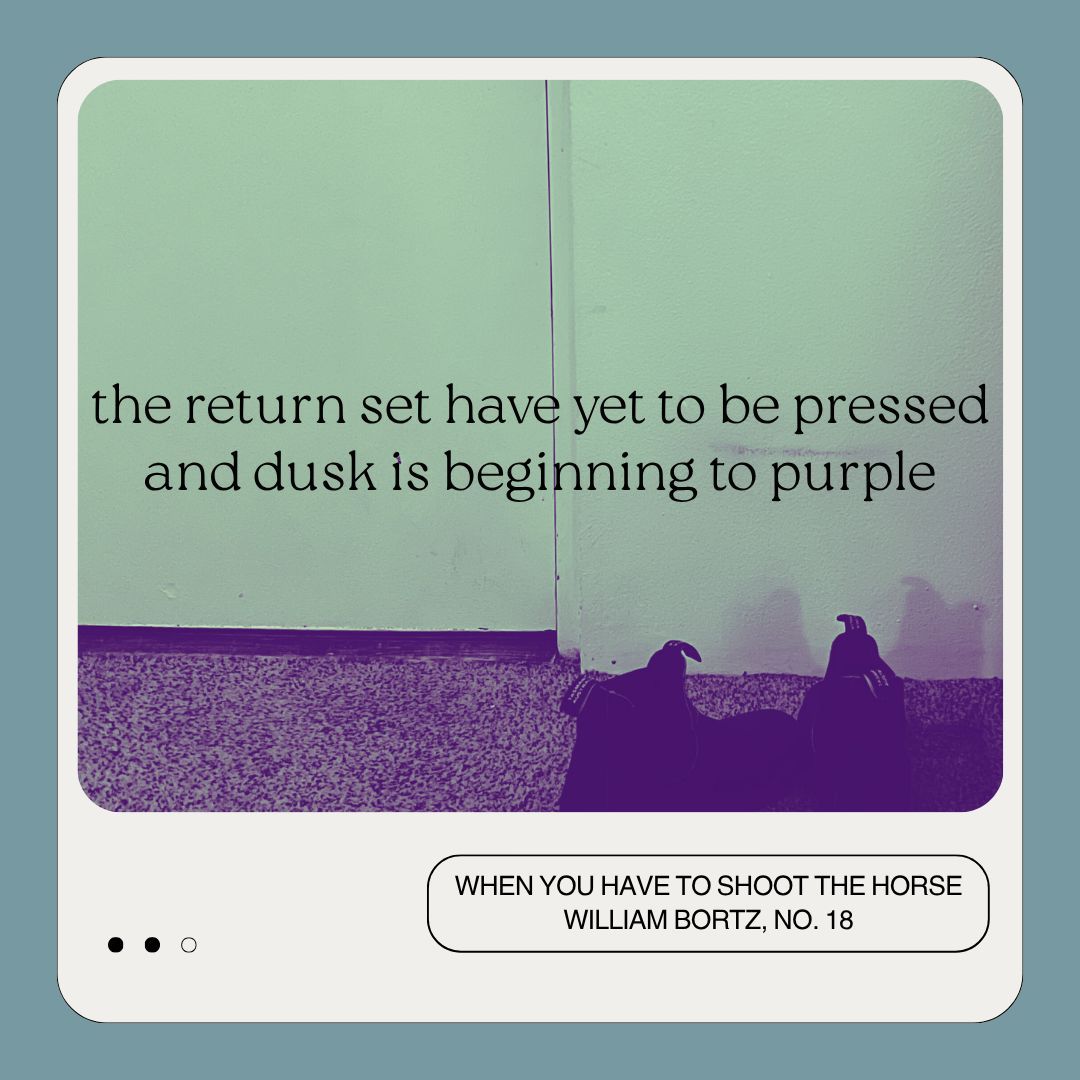 MudRoomMag's tweet image. A preview of &quot;When You Have to Shoot the Horse&quot; by @william_bortz

Read the full poem (and other pieces from Issue 18) here.

mudroommag.com/william-bortz