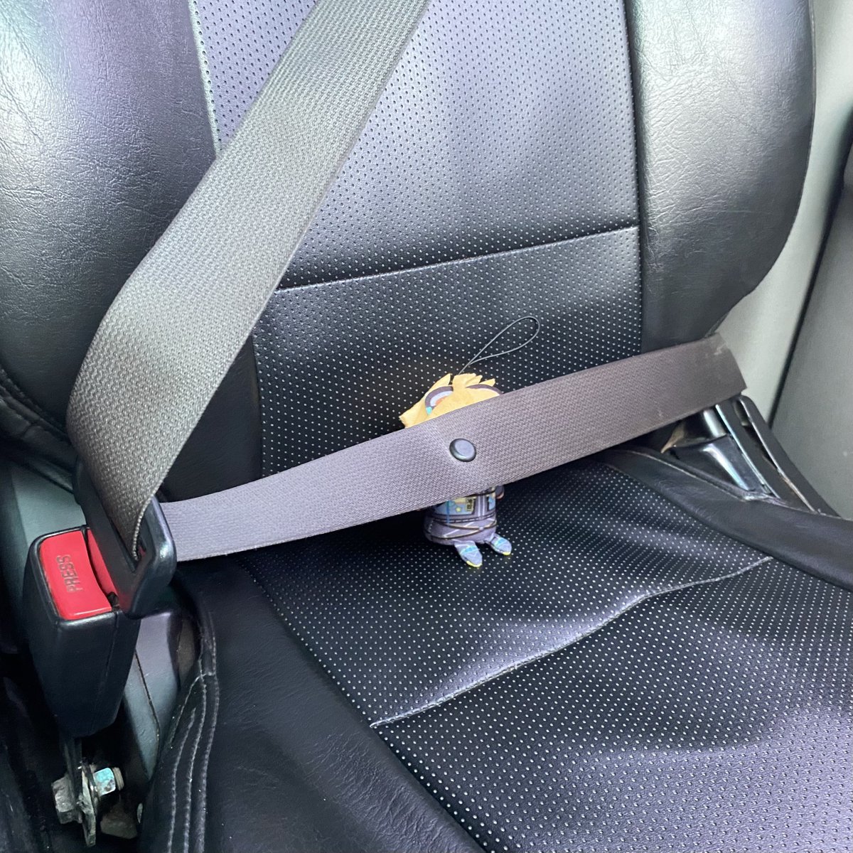 sillywiru's tweet image. we’re going to crash 😫🤯🤣 #showwilly