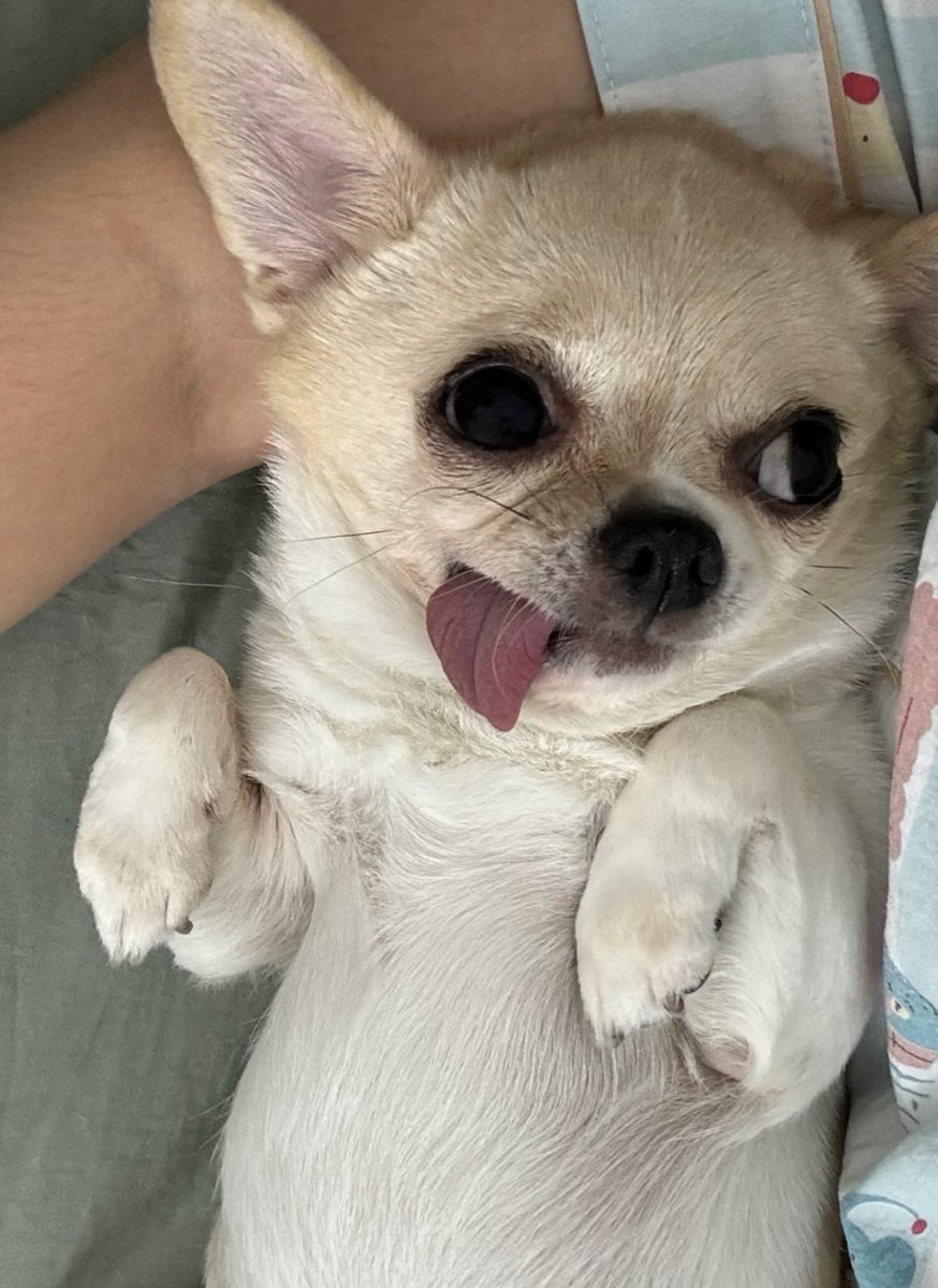 twaniimals's tweet photo. https://t.co/MvcTEjB3RD