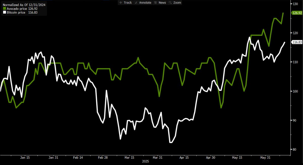 The most important thing happening in 2025 is obviously the Avocado-Bitcoin correlation reasserting itself: