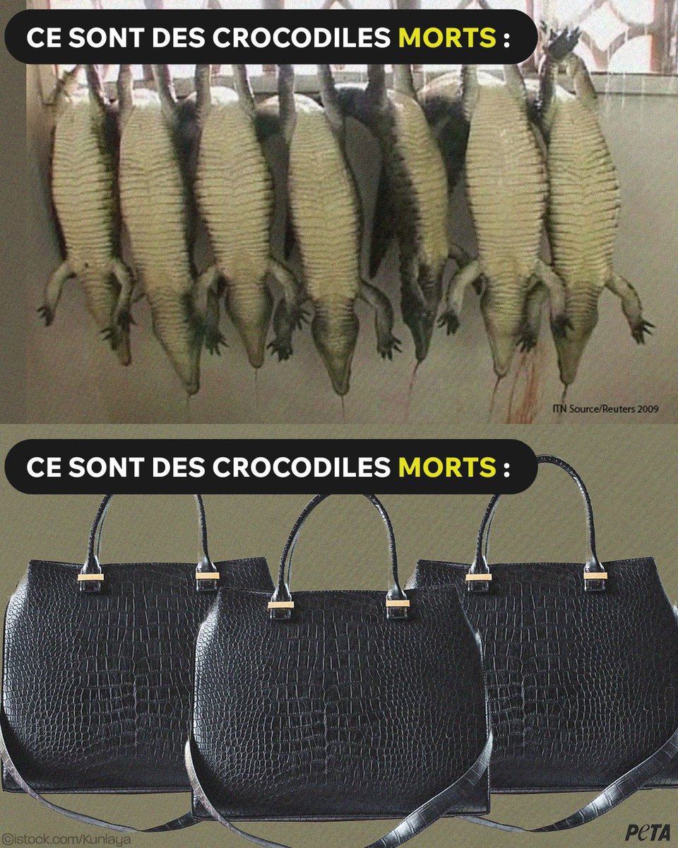 Saviez-vous qu'il faut deux ou trois crocodiles pour fabriquer un seul sac à main en peau de crocodile ? 👜=🐊🐊🐊
