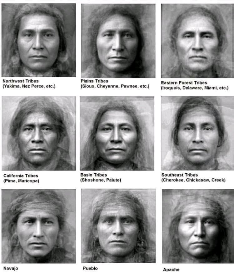 TribalArmy's tweet image. अमेरिका में आदिवासी लोग करीब 23,000 साल से रह रहे हैं, जो कोलंबस के आने से बहुत पहले की बात है। व्हाइट सैंड्स नेशनल पार्क में मिले 22,000 साल पुराने पैरों के निशान और समुद्र के रास्ते आने के वैज्ञानिक सबूत बताते हैं कि पुराने समय में लोग नावों से अमेरिका पहुँचे थे। इसका मतलब है…