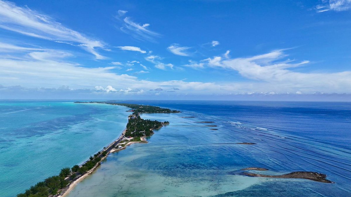 What if our oceans could speak? WCC releases powerful statement on ocean protection 🌊 #OceanProtection #UNOC3

Read more at ow.ly/78L350W7Kov

Photo: Matthew Kanowski/WCC