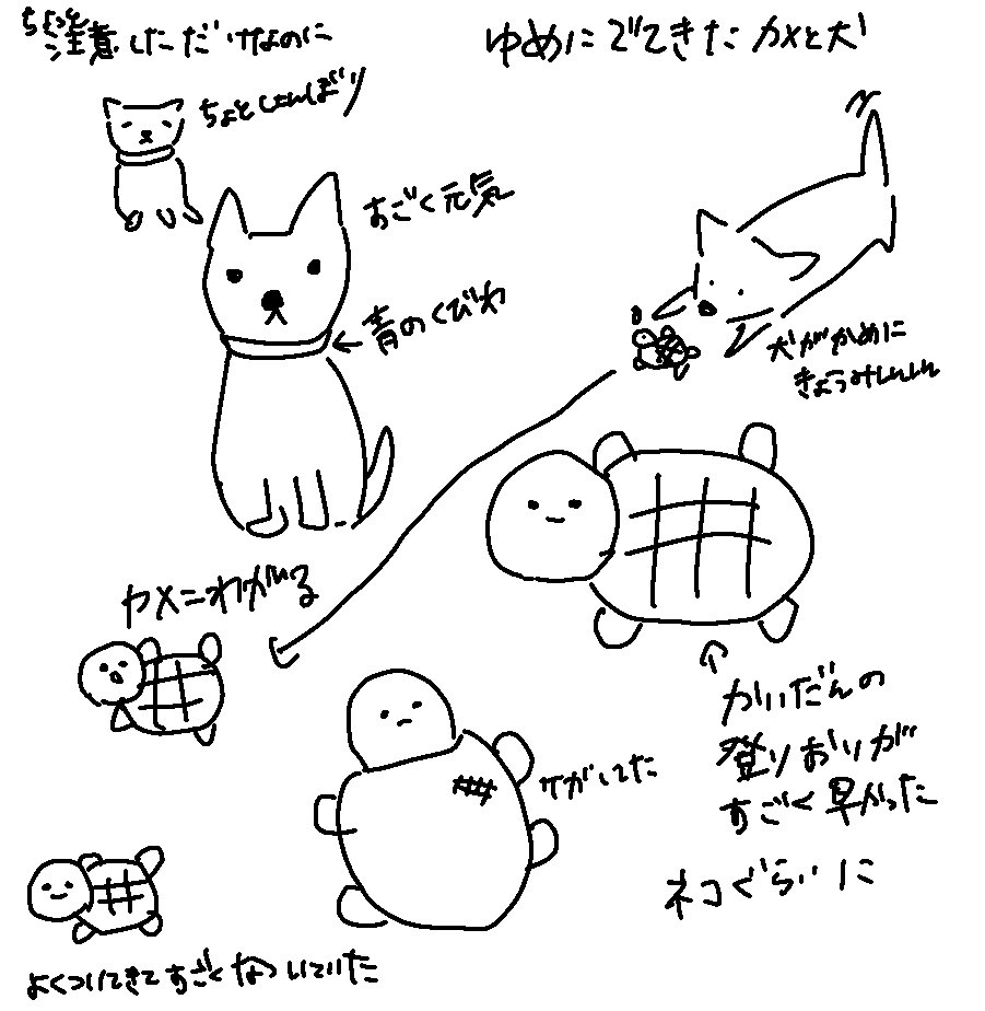 夢に出てきたカメと犬すごくかわいかった

#夢