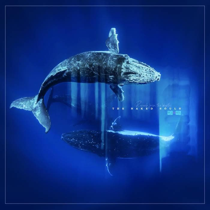 normanrecords's tweet photo. PREORDER: 'Reverb From The Depths' by The Naked Souls

Shoegaze heads take note, the Czech band's sole studio album and EP are here compiled into one neat set 🐳

https://t.co/UmsZTSQnZR https://t.co/nCQuIPTV7r