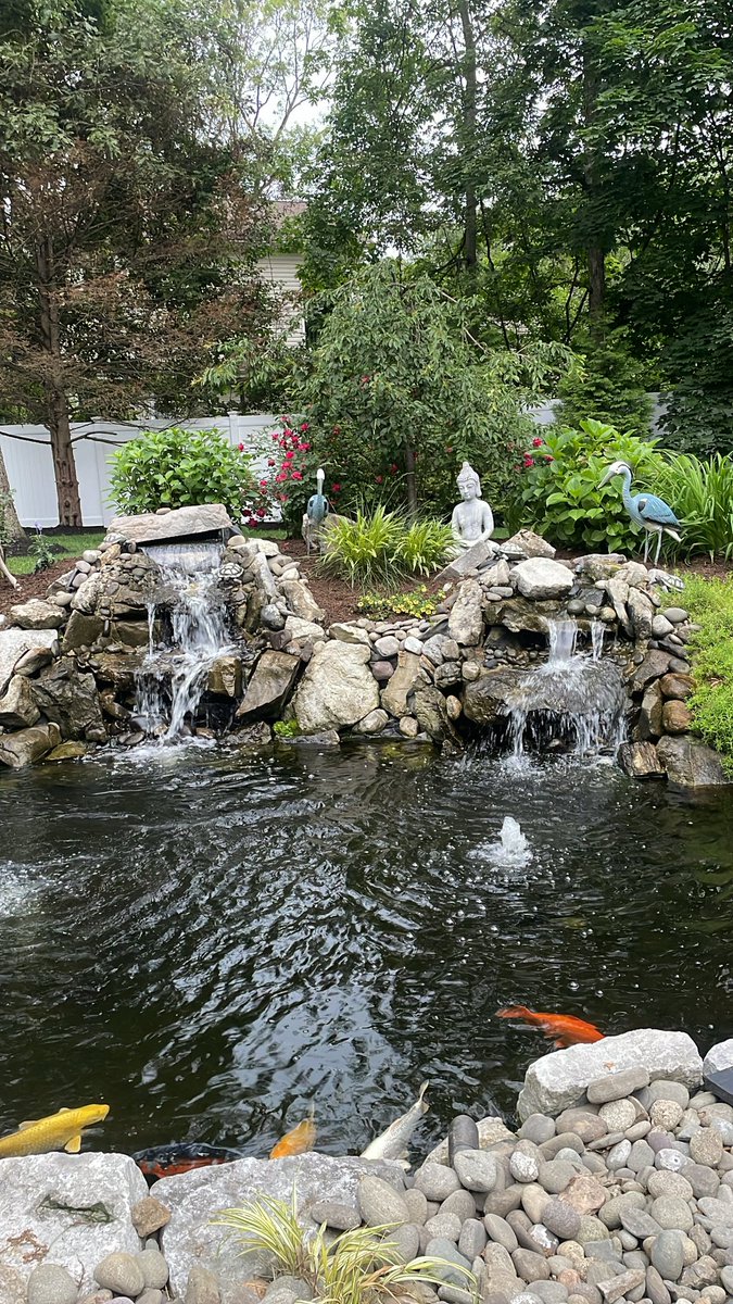 icrackedyoho's tweet image. im lit twin i wouldn’t wanna stop messing with me either😂😂🤷🏾‍♂️#topgeek