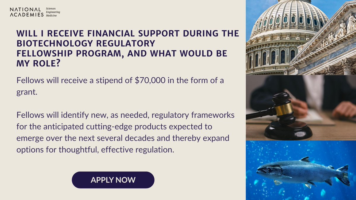 NASEM_BioRegFS's tweet image. FAQ Spotlight: Curious about the stipend, role, and responsibilities of a Biotechnology Regulatory Fellow? Get the answers and explore what the program has to offer: ow.ly/pK7O50W3HUE
#BiotechnologyFellowship #NASEM #Regulatoryprogram #PolicyCareers #Applytoday