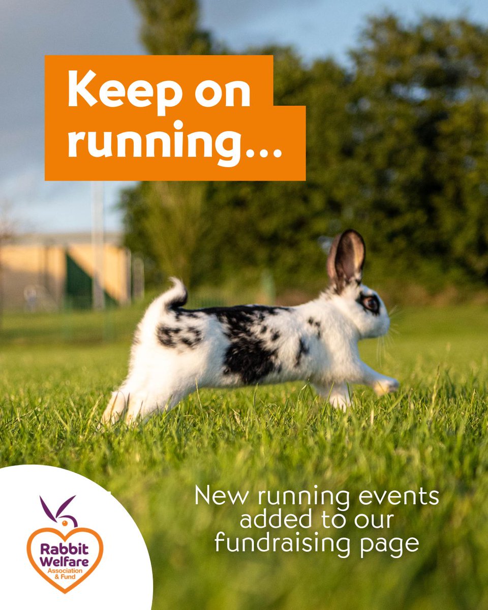 RabbitRWAF's tweet image. We’ve recently added some new #runningevents to our fundraising page & we would love for you to take part in & support us 🏃♀️🏃♂️
Find out more: rabbitwelfare.co.uk/challenge-even…
#RWAF #AnimalWelfare #AnimalWelfareCharity