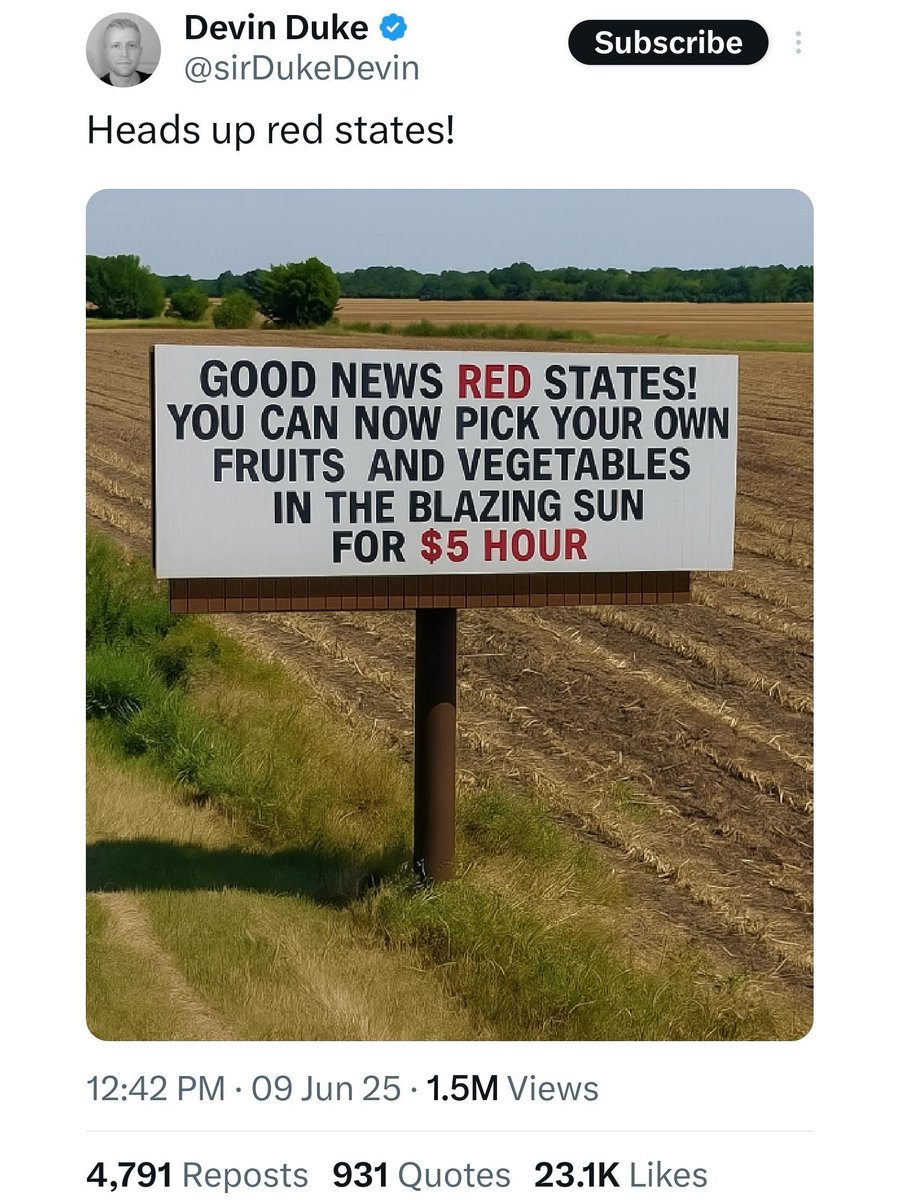 Delusional Takes (@delusionposting) on Twitter photo 