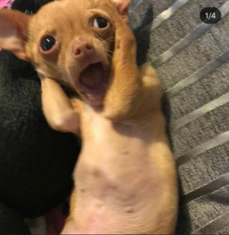 💜Periwinkle💜 tweet media