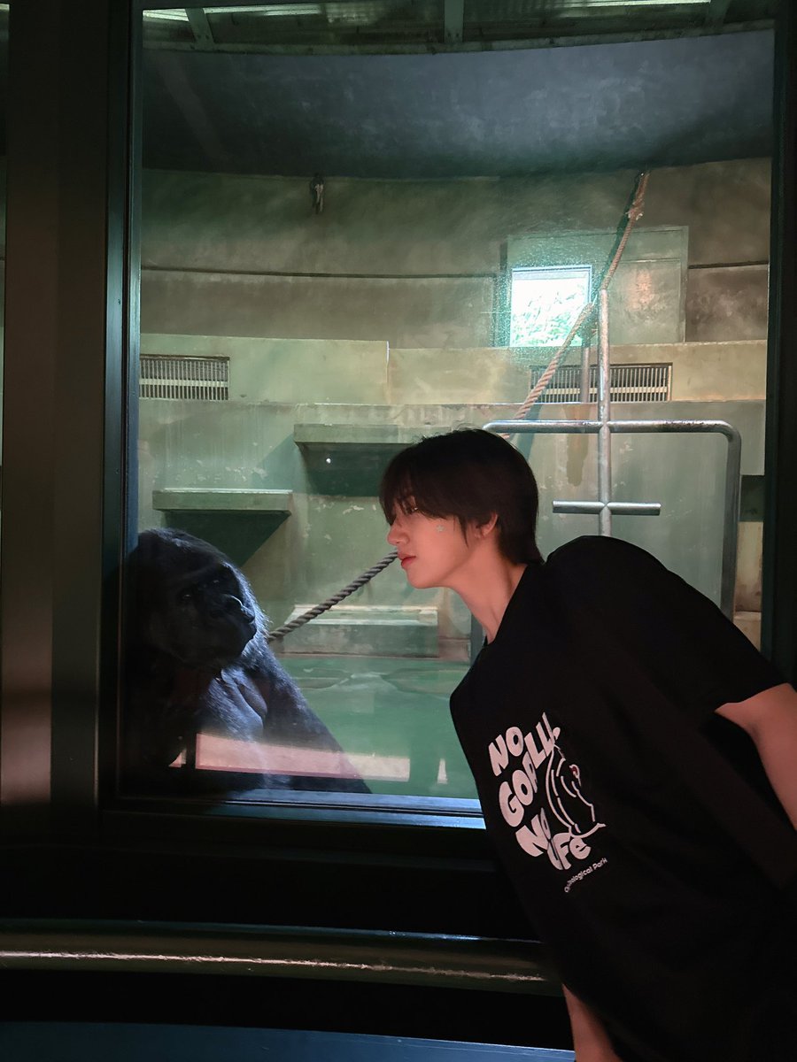 CRAVITY_twt's tweet image. 너도 6월 23일이 기다려지는구나🦍 
#원진