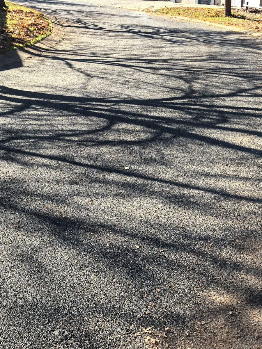 CrumRegionB's tweet image. The Ward 98 AFSU team hard at work, assisting in the maintenance of Gillard Drive Park and sweeping the surrounding streets. Efforts are contributing to a cleaner &amp;amp; safer environment for residents. @CityofJoburgZA @CRUM_CoJ  #JoburgReimagined