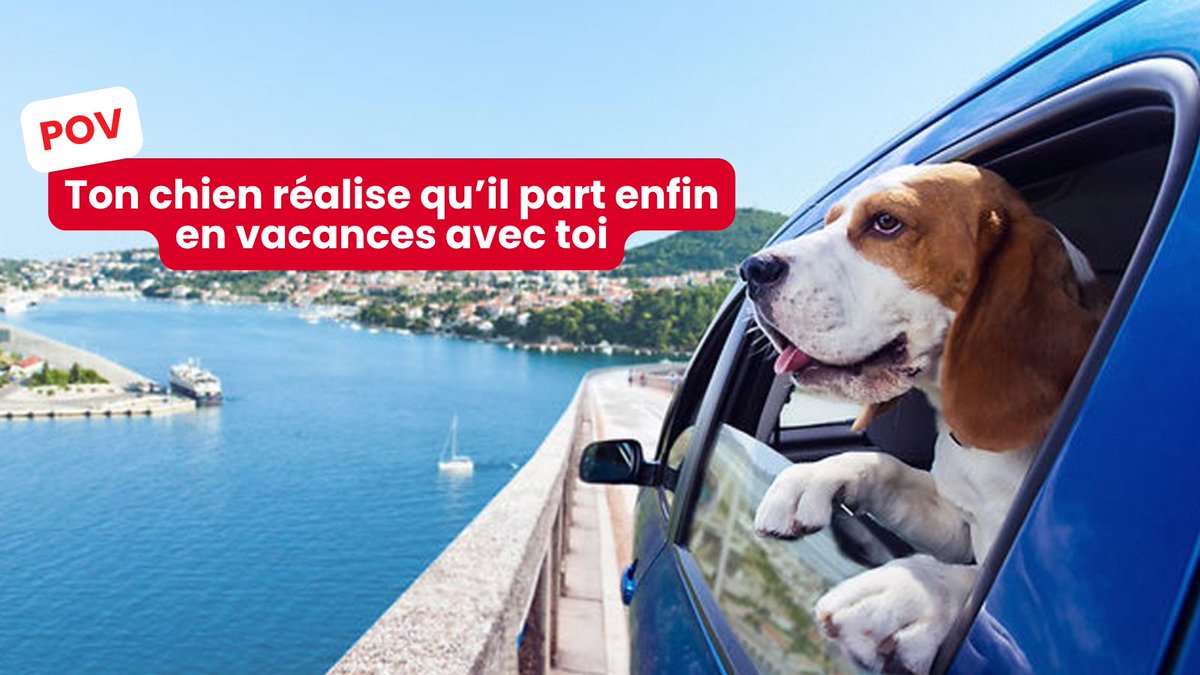 Les vacances approchent… mais un animal, ça ne s’abandonne pas 🐾

Si partir avec lui n’est pas possible, pensez aux solutions : famille, pension, associations… ou même services de garde directement sur ParuVendu 👇
paruvendu.fr/l/offre-de-ser…