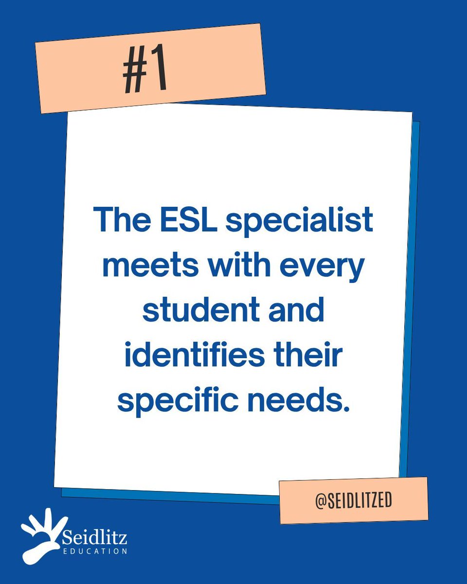 Seidlitz Education tweet media
