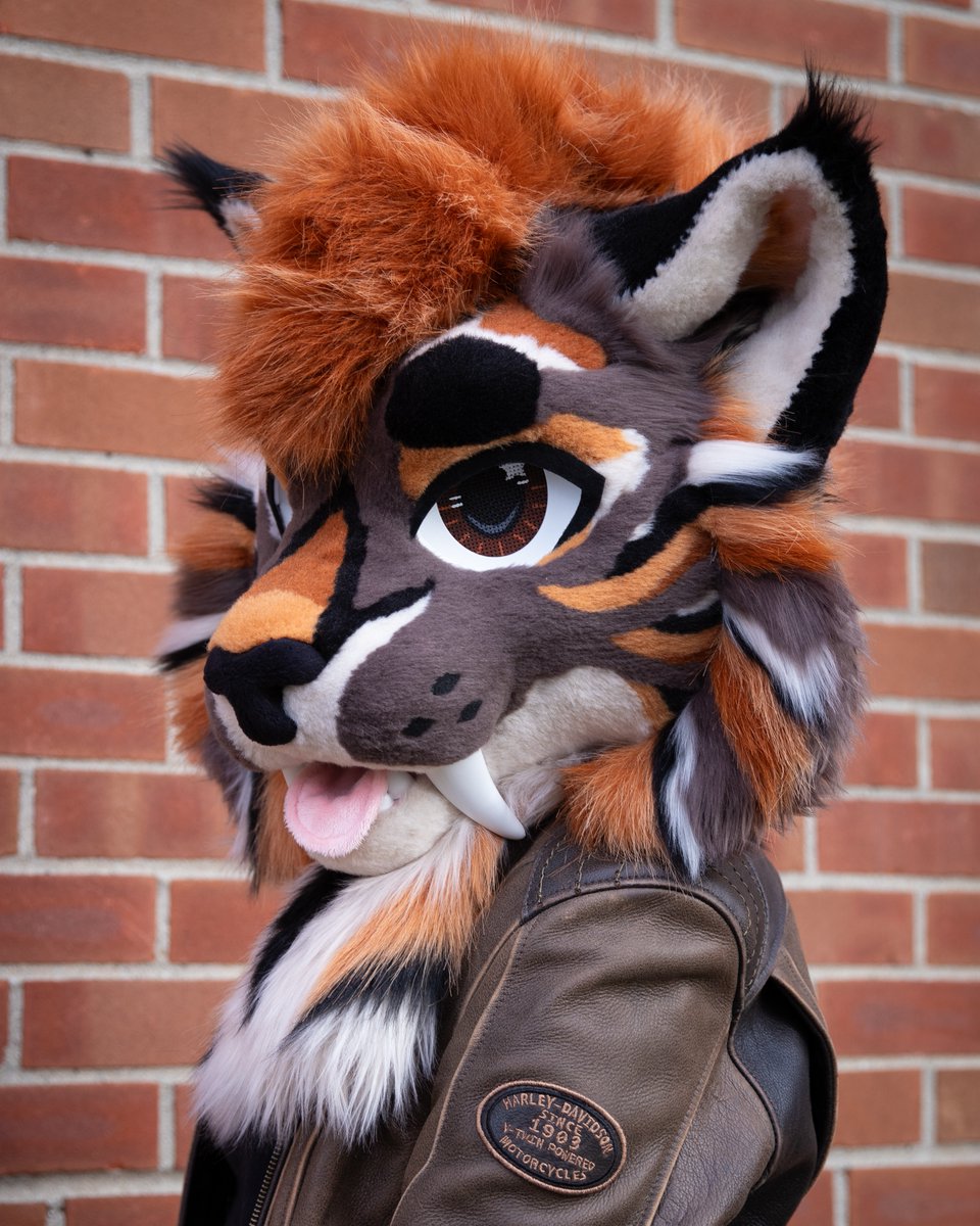 Happy International Lynx day! 🐅
-
Though this toothy kitty is a Smilodon, he is the closest thing to a lynx that we have made!