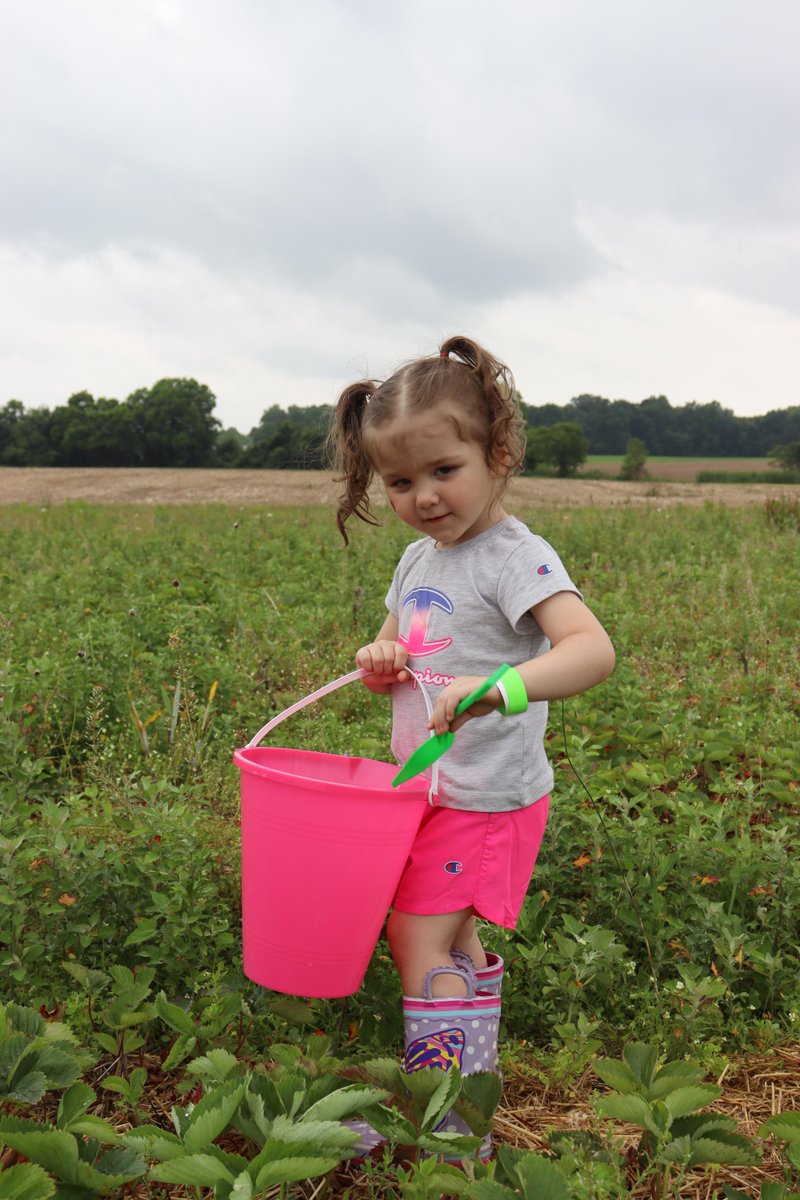 🍓THANK YOU to everyone who braved the rain to support DE Farm Bureau YF&amp;R at the 15th Annual Strawberry Festival! Great turnout, tasty shortcake, &amp; 53 food items collected for <a href="/FoodBankofDE/">Food Bank of DE</a>! 🙌 Special thanks to B&amp;B Farms for hosting!

#DelawareFarmBureau #StrawberryFestival