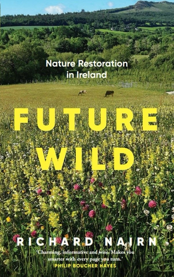 We’re delighted to welcome Richard Nairn, author of Future Wild: Nature Restoration in Ireland, for a talk on the birds of Carlingford Lough as part of our Environmental Hub at Fiddler's Green Festival this year. 
 
The Lecture Hall, Rostrevor 
Wed 16th July 15:30
FREE EVENT
