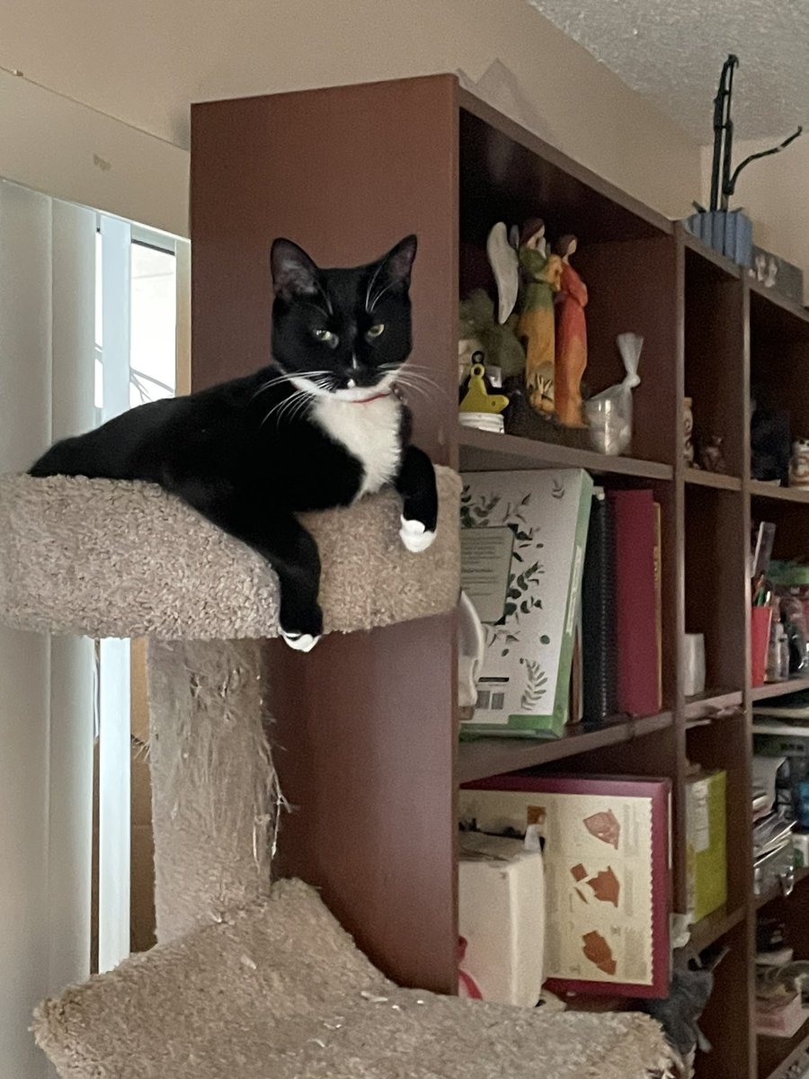 itzmefig's tweet image. dids you needs somethinge from Me Fig?