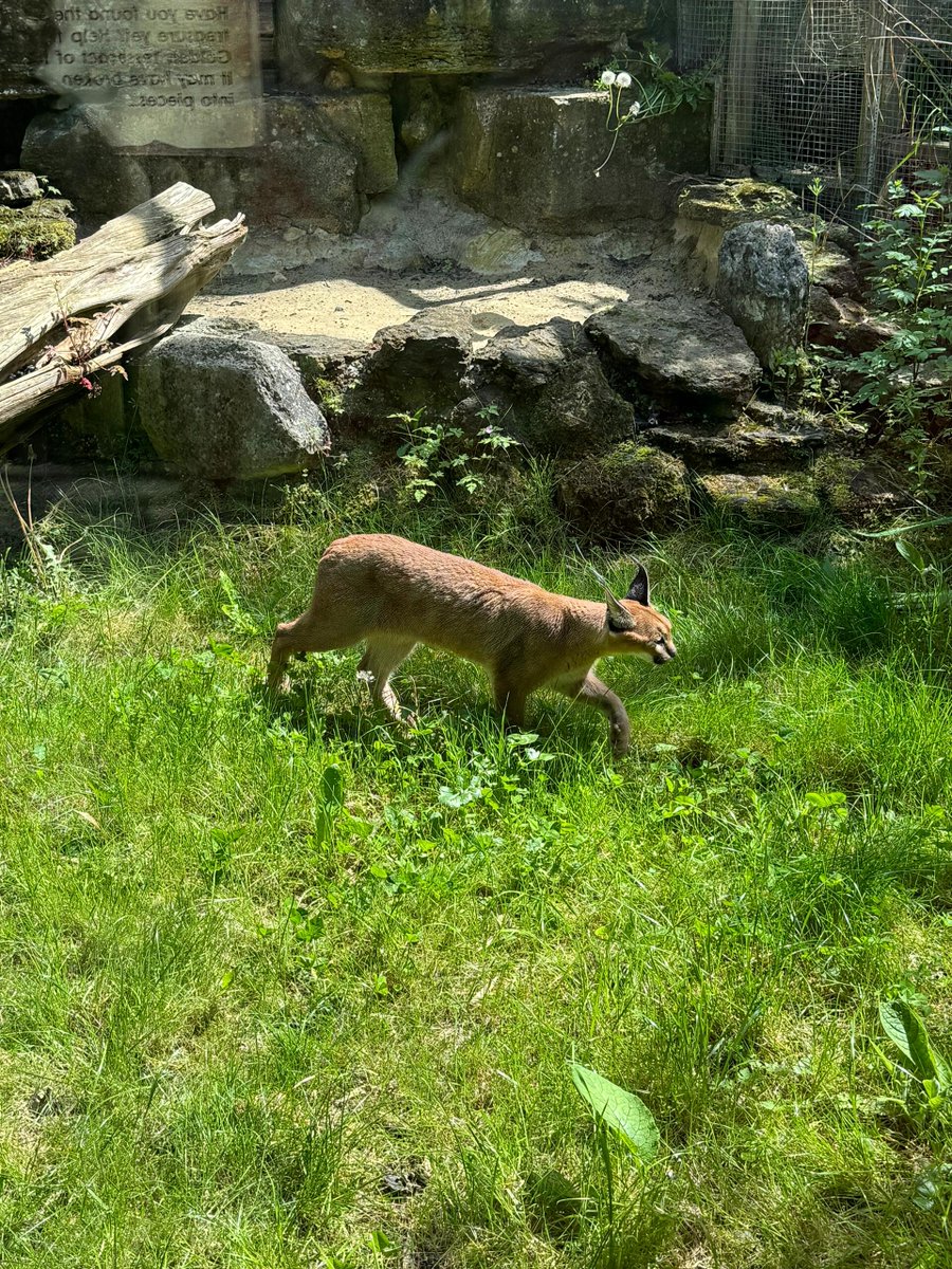 Lean6546's tweet image. Chasing dreams and sunsets!  ❤️ Chasing dreams and su nsets!  ❤️