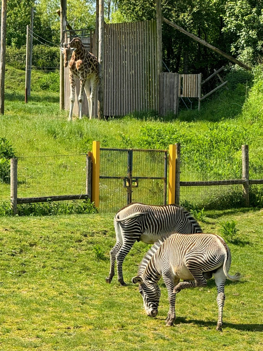 Lean6546's tweet image. Chasing dreams and sunsets!  ❤️ Chasing dreams and su nsets!  ❤️