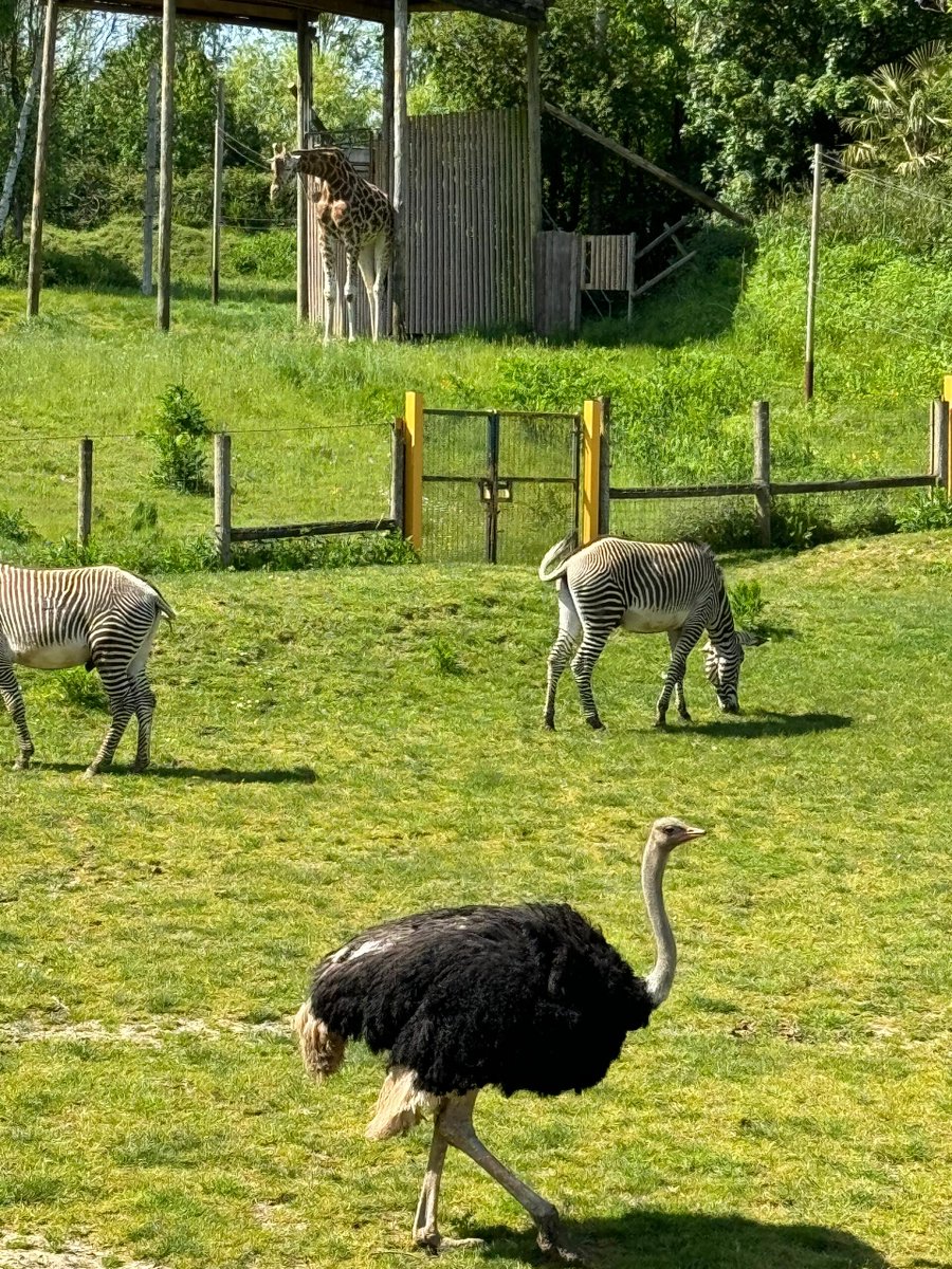 Lean6546's tweet image. Chasing dreams and sunsets!  ❤️ Chasing dreams and su nsets!  ❤️