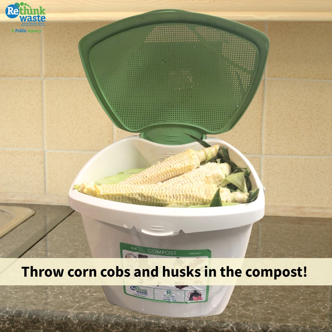 RethinkWaste's tweet image. It's #CornOnTheCobDay 🌽! After enjoying those sweet kernels, remember the rest goes into the #compost! #CompostCorrectly