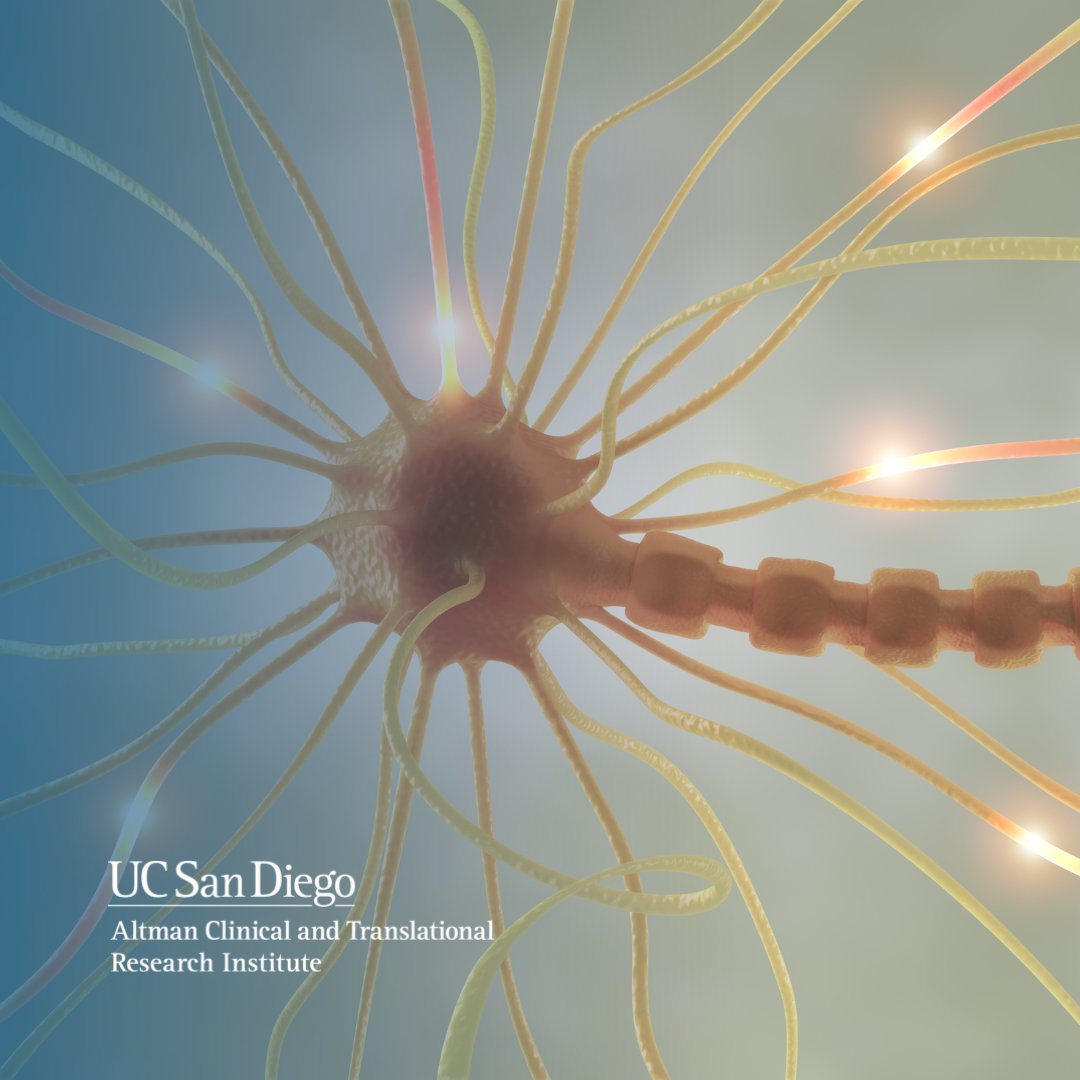 New UCSD study highlights a key player in nerve repair 🔬
Axon-derived PACSIN1 helps Schwann cells survive and support nerve health—offering promise for future therapies.

Read more: pubmed.ncbi.nlm.nih.gov/38372375/

#Neuroscience #NerveHealth #ACTRI #UCSDResearch #ClinicalResearch